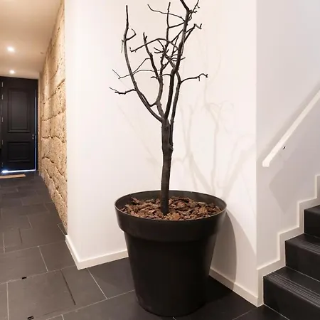 Premium Duplex In Bonfim By Lovelystay * פורטו